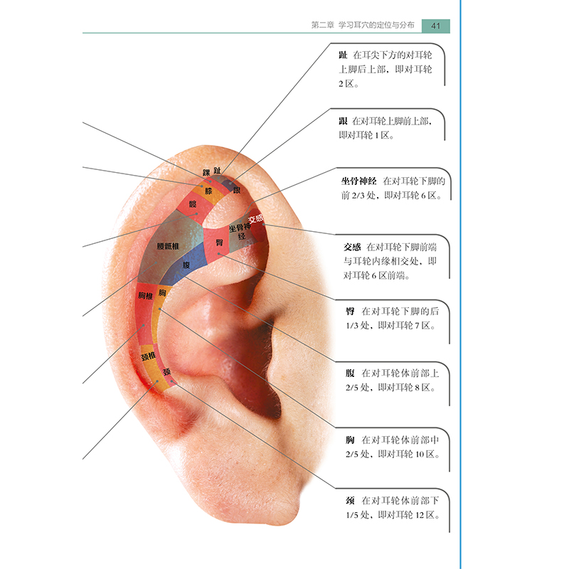 【新华书店正版书籍】零基础学耳穴中医养生编者查炜打开思路按图索穴获得所需的耳穴诊断治疗美容保健心理类书籍-图1