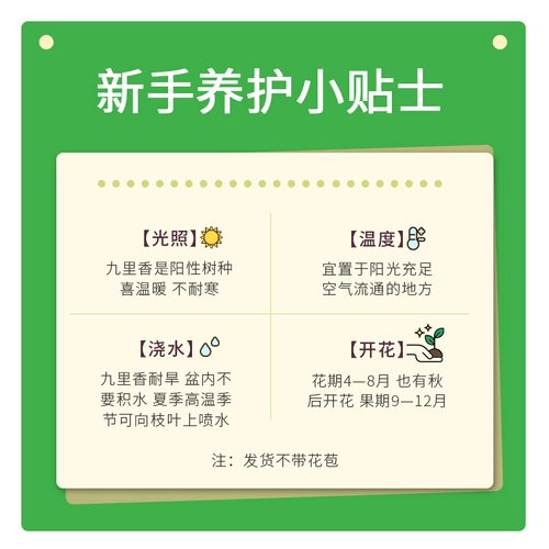 Jiuli Ароматная горшечная комната Цветочная и растения гостиная Офис.