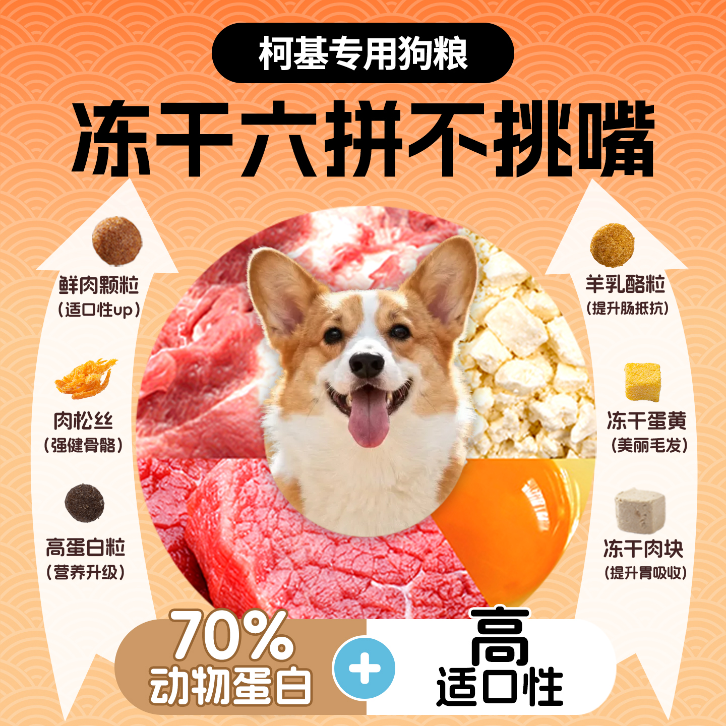 柯基专用狗粮10斤装幼犬成犬无谷轻泪痕美毛丰臀中小型犬全价冻干 - 图0