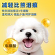 Bichon Frize ຫົກຕ່ອນທີ່ແຊ່ແຂງສໍາລັບຫມາຂະຫນາດນ້ອຍທີ່ມີຮອຍເປື້ອນເລັກນ້ອຍ