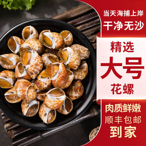 花螺鲜活新鲜冷冻特大号泥螺东风螺海鲜水产贝类海猪螺小海螺香螺 - 图0