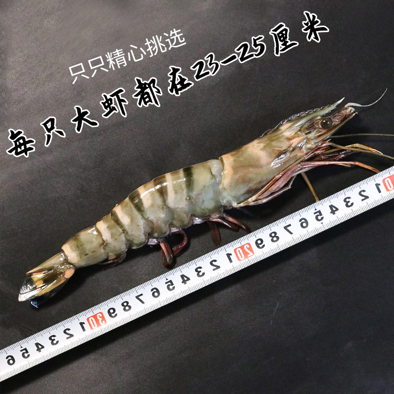 Black tiger shrimp, extra large monodon tiger shrimp, fresh and quick-frozen