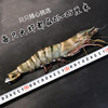 Black tiger shrimp, extra large monodon tiger shrimp, fresh and quick-frozen