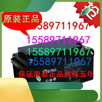 New products sail storage batteries 6-GFM-65 lead-acid energy storage exempted from maintenance room UPS computer emergency power supply