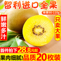 Chilean Imports Golden Fruits Yellow Heart Kiwi Fruit Fresh Chieca Fruit When Season Full Box Great Fruit Macaque Peach 5