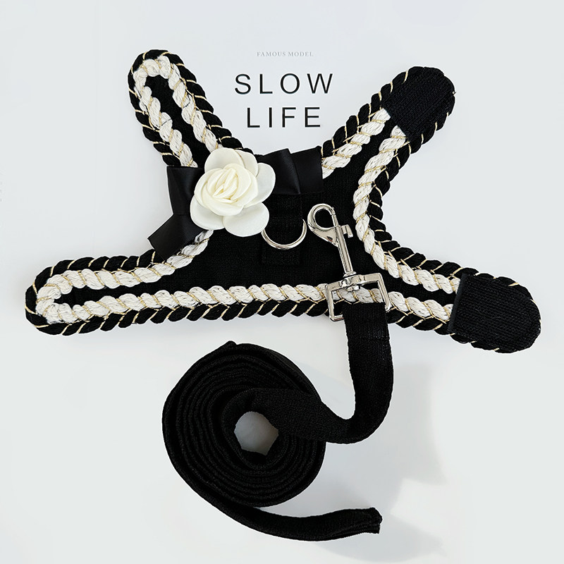 比熊狗狗衣服带牵引绳背心式小型犬宠物胸背带狗绳遛狗网红猫绳子,淘宝优惠券,粉丝福利购,淘宝优惠卷