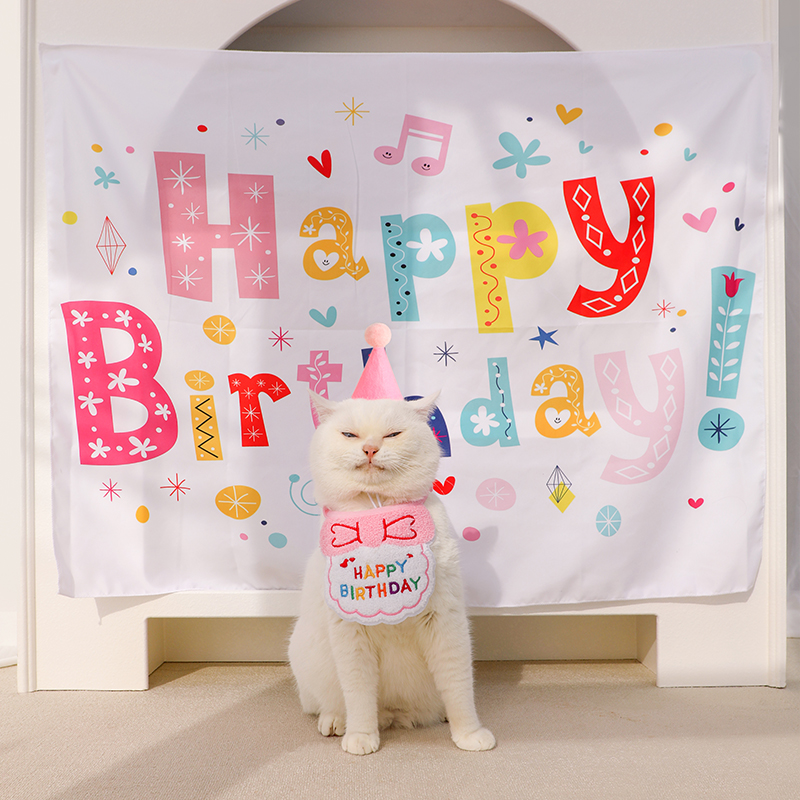 猫咪生日装扮猫猫小猫小狗过生日布置蛋糕装饰宠物狗狗围兜帽子 - 图3