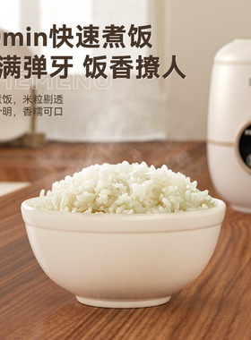 朵塔电煮锅学生迷你电饭