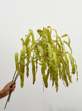 含阳扁豆仿真豌豆荚婚礼
