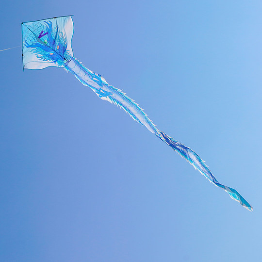 Flying 6-meter dragon and soaring kite are easy to fly in the breeze