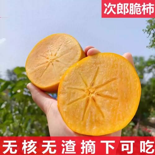 柿子苗树脆甜柿火晶柿南北方种植庭院盆栽柿子树苗当年结果柿子树 - 图1