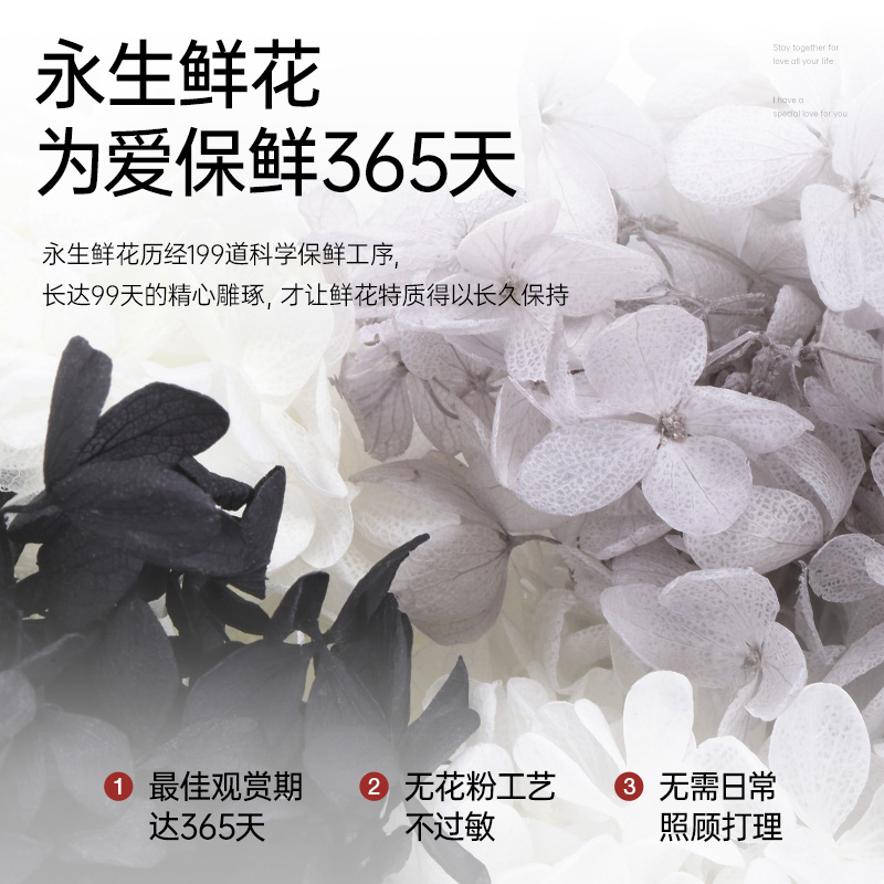 情人节礼物柏治廷永生花可爱小猫咪宠物橘猫礼盒送女友生日礼摆件