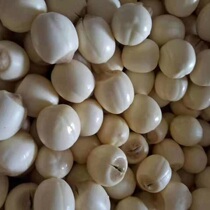 Jiangxi Teprote fresh lotus seed to shell and go to the core through core to cook the porridge sugar water handmade fresh lotus white lotus seed rice