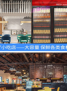 冰霜饮料展示柜冷藏商用单双门柜
