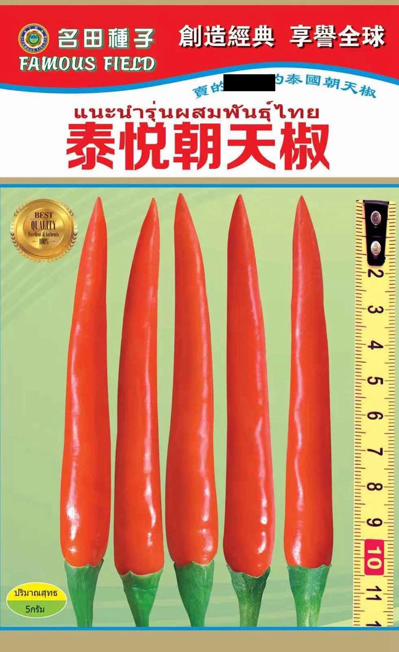 椒霸999大果朝天椒盛佐奥盛椒666基地杂交高产抗病泰国进口品种 - 图1