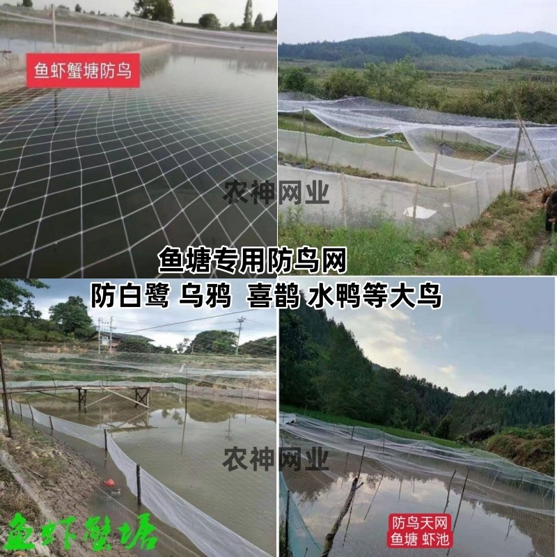 鱼塘尼龙防鸟网4厘米5厘米网眼10公分孔池塘泥鳅青蛙龙虾养殖天网,淘宝优惠券,粉丝福利购,淘宝优惠卷