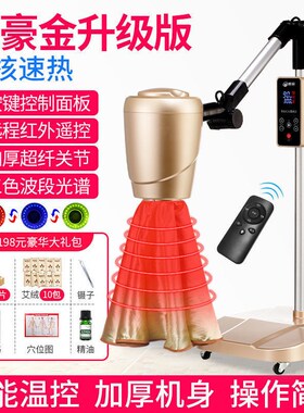 速发艾用仪蒸艾灸熏仪仪器家用体虚养生盒院专灸艾炙仪加艾绒