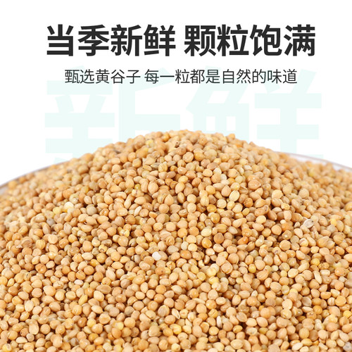 虎皮鹦鹉饲料玄凤牡丹小太y混合鸟食粮食带壳黄谷子食物鸟粮一斤 - 图0