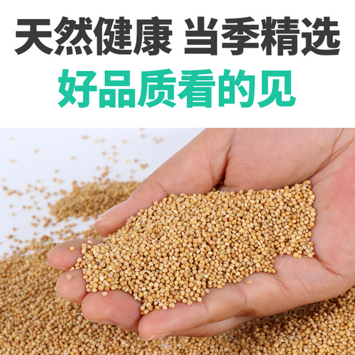 虎皮鹦鹉饲料玄凤牡丹小太y混合鸟食粮食带壳黄谷子食物鸟粮一斤 - 图1
