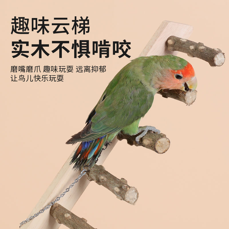 虎皮牡丹鹦鹉玩具小鸟互动爬梯攀爬绳秋千配件用品云梯木梯磨爪嘴