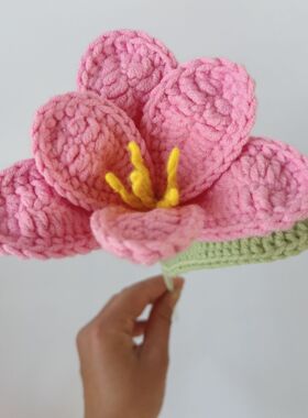 郁金香花束DIY自制礼品送