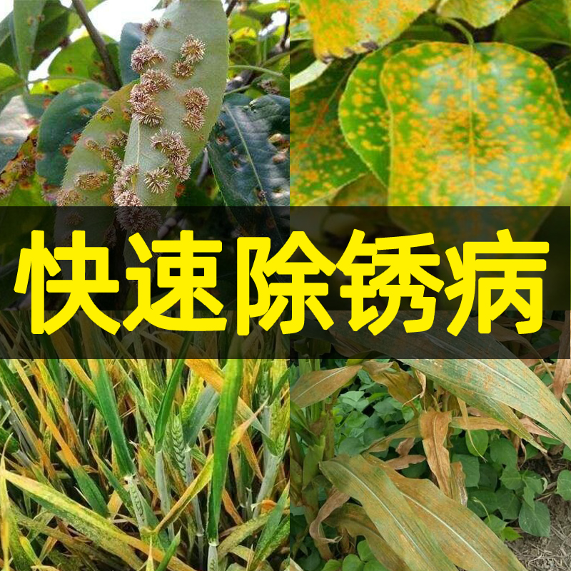 梨树锈病专用药玉米大葱豆角花椒树米鲜安咪鲜胺农药杀菌剂农用 - 图2