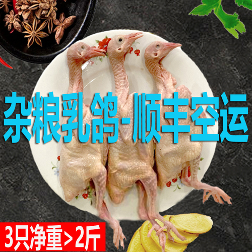 顺丰包邮新鲜鸽子肉乳鸽生鲜冷冻农家散养肉鸽土鸽子现杀老鸽子肉