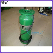 Xuzhou (Tian Long) Tianlong fountain Pump QSP40-8-1 5 Fountain submersible pump Fountain Special Pumps Landscape Fountain