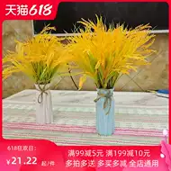 水草花瓶 新人首单立减十元 21年7月 淘宝海外