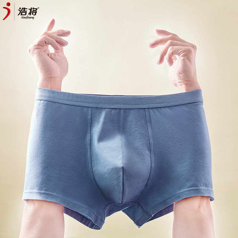 【送新款1条】浩将纯92棉男士男短裤 浩将内裤