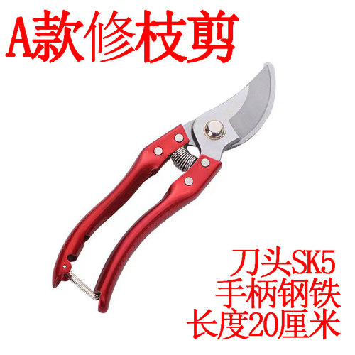 修枝剪 树枝剪刀枝剪修剪花艺园艺剪葡萄家用火龙果专用果树工具 - 图0