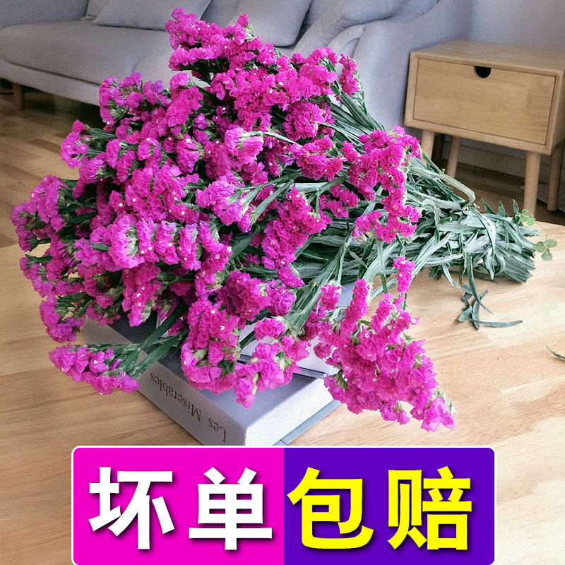 云南勿忘我满天星干花花束鲜花真花批发插花装饰客厅摆件花卉礼物 - 图0