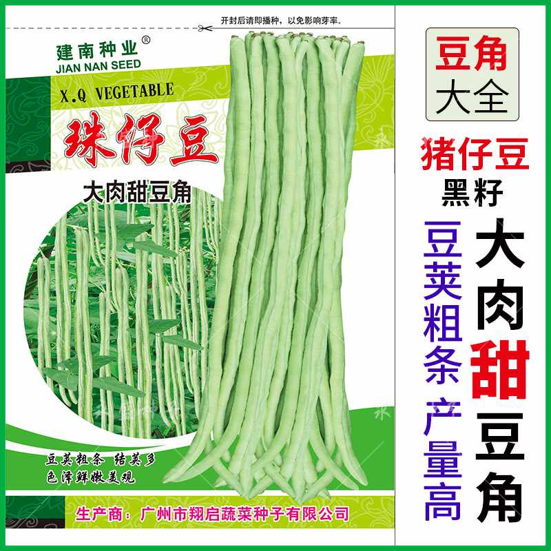 肉肉的种子 新人首单立减十元 21年8月 淘宝海外