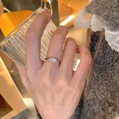 S925银马眼钻戒指女轻奢高级感百搭指环小众设计食指戒2025年新款 - 图0