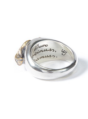 GALCIA男925银朋克戒指