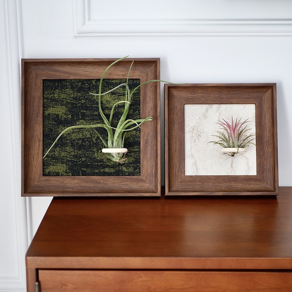 法式空气凤梨相框壁画软装绿植现代装饰画客厅卧室办公室挂画摆件,淘宝优惠券,粉丝福利购,淘宝优惠卷