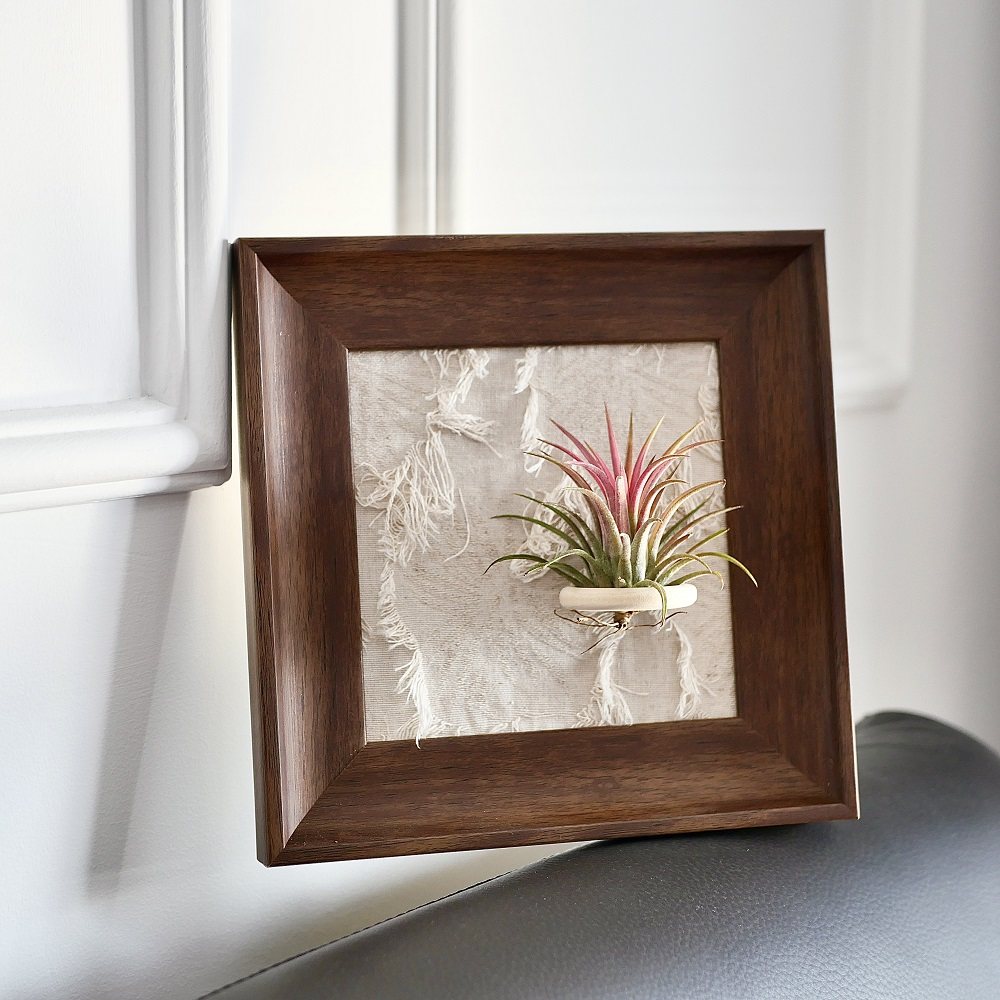法式空气凤梨相框壁画软装绿植现代装饰画客厅卧室办公室挂画摆件,淘宝优惠券,粉丝福利购,淘宝优惠卷