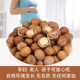 2025 Northeast Mountain Hazelnut Tieling Specialty Hazelnut