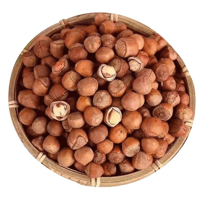 东北特产铁岭新鲜山榛子大号榛子2025干果生榛子散装坚果小榛子,淘宝优惠券,粉丝福利购,淘宝优惠卷