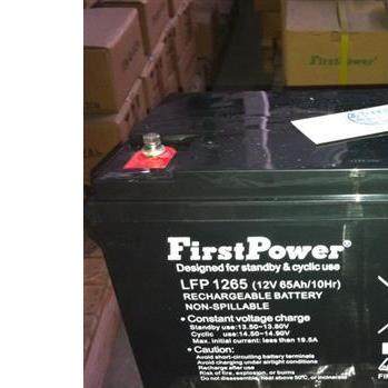 FirstPower12V50AH原厂一电LFP1250现货质保三年,淘宝优惠券,粉丝福利购,淘宝优惠卷