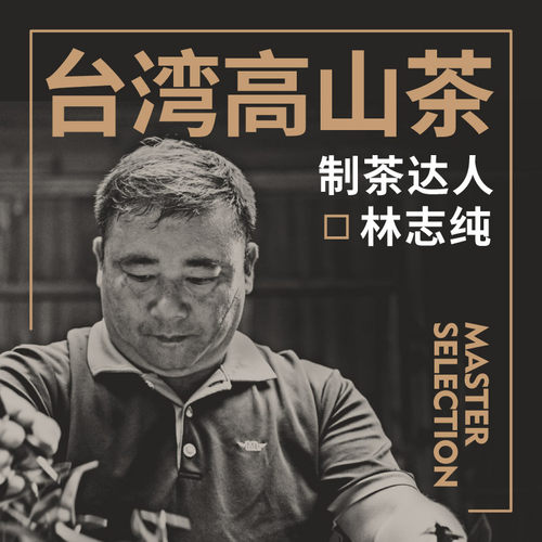 修哲青心乌龙无农残台湾高山冷泡茶叶清香型新茶128g送礼 - 图3