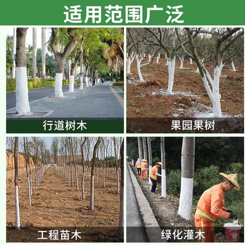 树干树木涂白剂涂白粉果树园林绿化刷白剂防虫防冻抗寒杀菌树医宝 - 图0