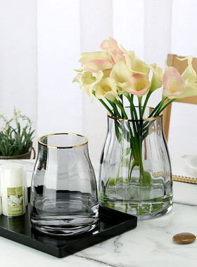 北欧轻奢感玻璃花瓶摆件客厅水培插花透明描金家居装饰品