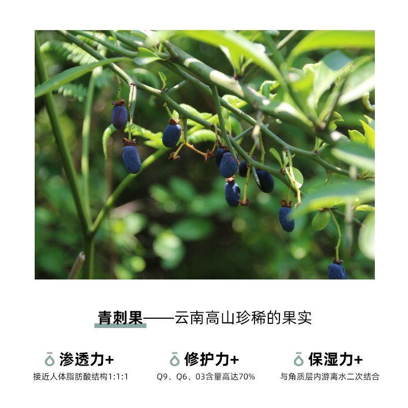 【核心产品】安肌青刺果精华油舒缓补水温和维稳护养肤强韧屏障保_虎窝淘