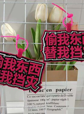偷我东西替我挡灾不织布挂件搞笑挂件书包挂件行李箱包挂件钥匙扣
