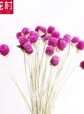 【赞花村】千日粉千日红干花花束 家庭家装家饰花艺制品真花花材