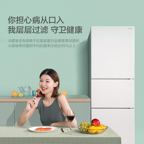 PANASONIC NR-JS30AX1-W/XC30A2A/XC30GJB松下三门冰箱300L制冰机 - 图3