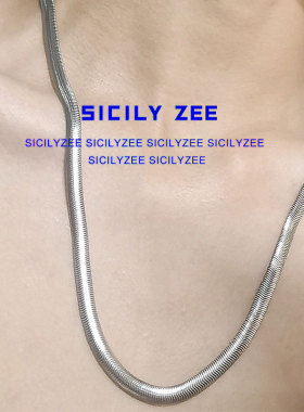 蛇骨链小众冷淡风项链质感穿搭