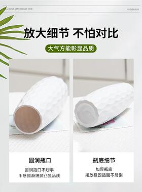 富贵竹专用花瓶北欧高级感仿陶瓷花瓶客厅干花真花水养插花瓶摆件