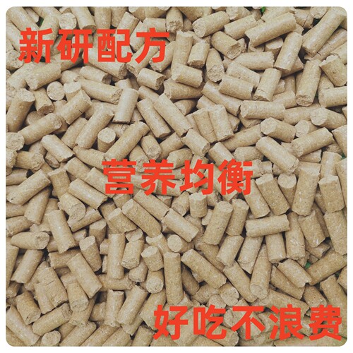大小白鼠鼠粮花枝鼠粮小鼠爱吃高蛋白大颗粒繁殖粮仓鼠金丝熊 - 图0